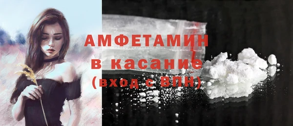 мет Алексин