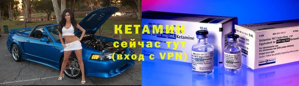 шишки Аркадак