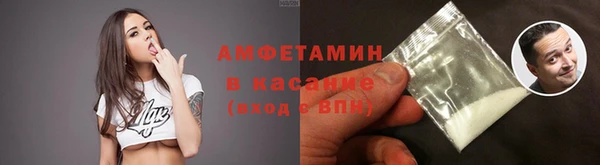 мет Алексин